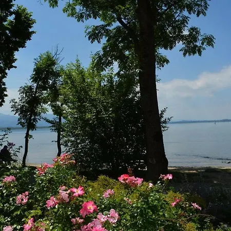 Kaiserblick *